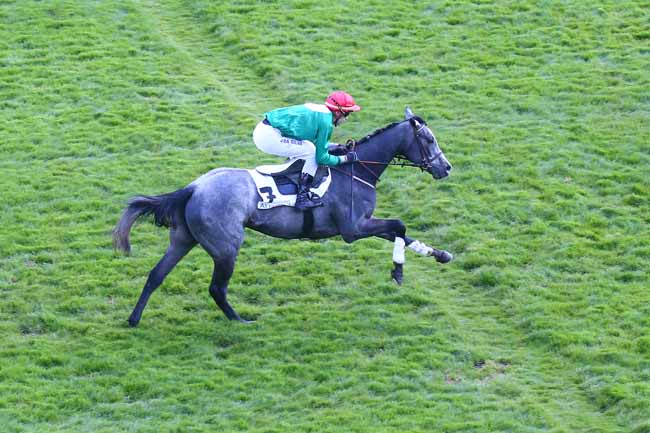 Photo d'arrivée de la course pmu PRIX GEOGRAPHIE à AUTEUIL le Dimanche 3 avril 2022