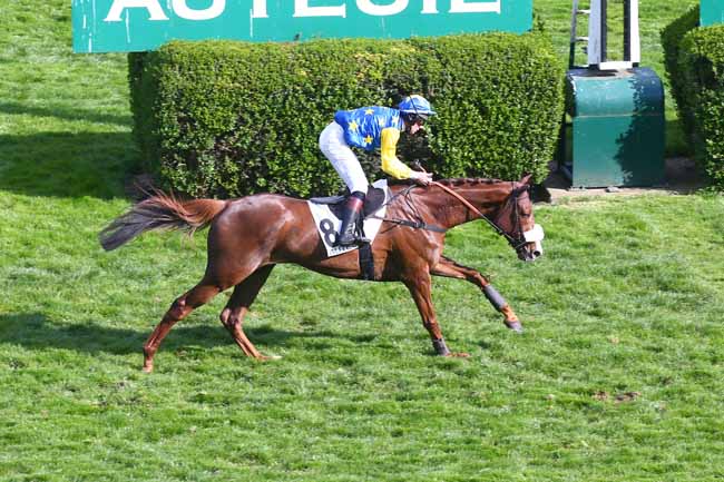 Photo d'arrivée de la course pmu PRIX MAURICE DE NEXON à AUTEUIL le Dimanche 3 avril 2022