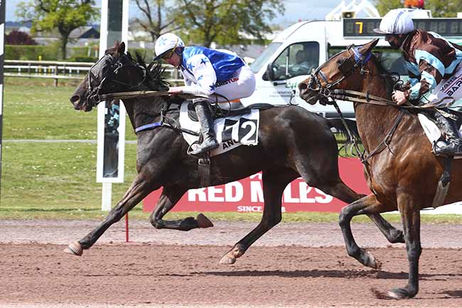 Photo d'arrivée de la course pmu PRIX FLORENCE LECELLIER à ANGERS le Mercredi 6 avril 2022