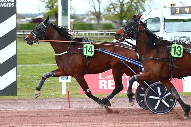 Photo d'arrivée de la course pmu PRIX TIMOKO à ANGERS le Mercredi 6 avril 2022