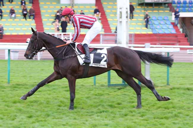 Photo d'arrivée de la course pmu PRIX DES BENJAMINS à COMPIEGNE le Mercredi 6 avril 2022
