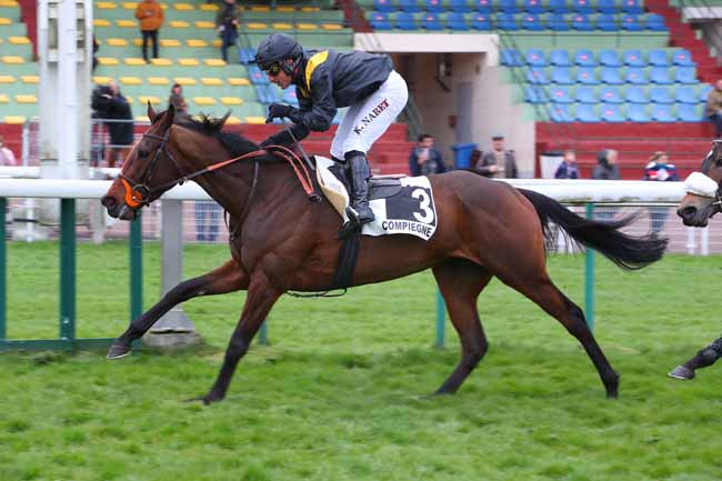 Photo d'arrivée de la course pmu PRIX DE DINARD à COMPIEGNE le Mercredi 6 avril 2022