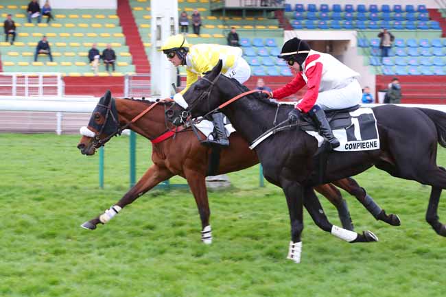 Photo d'arrivée de la course pmu PRIX BOG FROG à COMPIEGNE le Mercredi 6 avril 2022