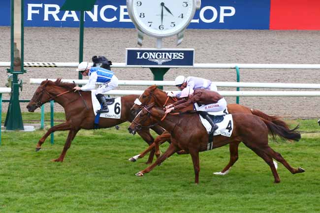 Photo d'arrivée de la course pmu PRIX DE BRUNEHAUT à CHANTILLY le Mercredi 6 avril 2022