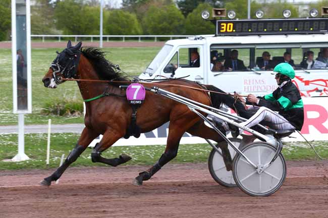 Photo d'arrivée de la course pmu PRIX PMU LE FONTENOY à REIMS le Mercredi 13 avril 2022