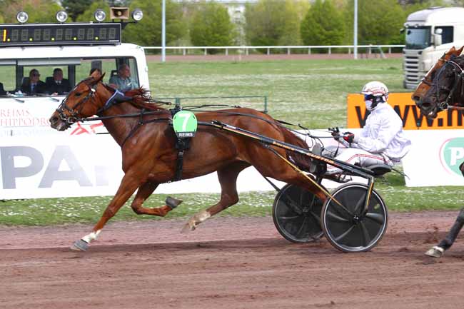 Photo d'arrivée de la course pmu GRAND PRIX DU CHAMPAGNE CASTELNAU à REIMS le Mercredi 13 avril 2022