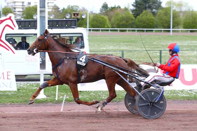 Photo d'arrivée de la course pmu PRIX DE LA VILLE DE REIMS à REIMS le Mercredi 13 avril 2022