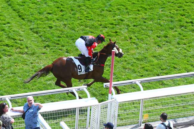 Photo d'arrivée de la course pmu PRIX ROSE OR NO à AUTEUIL le Jeudi 14 avril 2022
