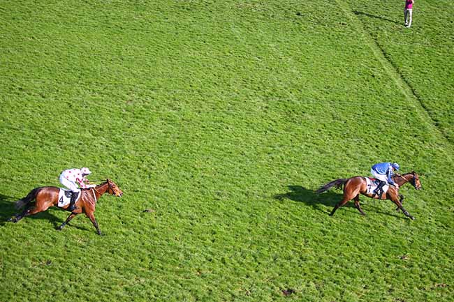 Photo d'arrivée de la course pmu PRIX NECOR à AUTEUIL le Jeudi 14 avril 2022