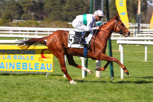 Photo d'arrivée de la course pmu PRIX DU LABEL EQUURES - PRIX DE LA MALMONTAGNE à FONTAINEBLEAU le Samedi 16 avril 2022