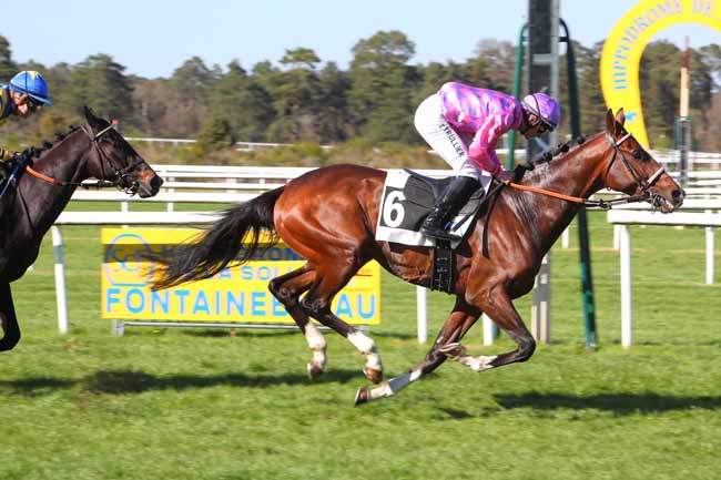 Photo d'arrivée de la course pmu PRIX ROSA BONHEUR à FONTAINEBLEAU le Samedi 16 avril 2022