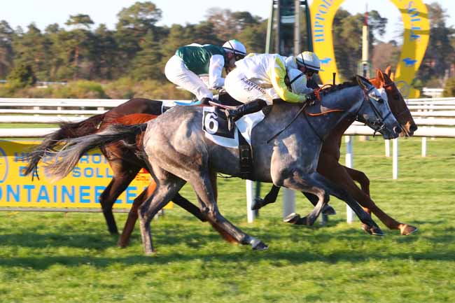 Photo d'arrivée de la course pmu PRIX DE LA FONTAINE DESIREE à FONTAINEBLEAU le Samedi 16 avril 2022