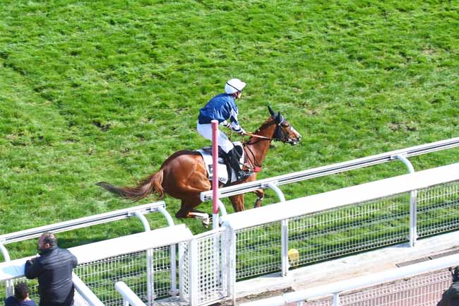 Photo d'arrivée de la course pmu PRIX DE BORELY à AUTEUIL le Mardi 19 avril 2022