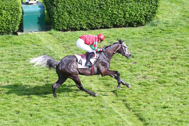 Photo d'arrivée de la course pmu PRIX WILLIAM HEAD à AUTEUIL le Mardi 19 avril 2022