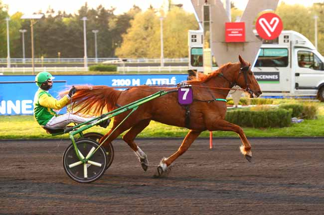 Photo d'arrivée de la course pmu PRIX DORIS à PARIS-VINCENNES le Mardi 19 avril 2022