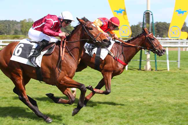 Photo d'arrivée de la course pmu PRIX DU BOIS ROND à FONTAINEBLEAU le Mercredi 20 avril 2022