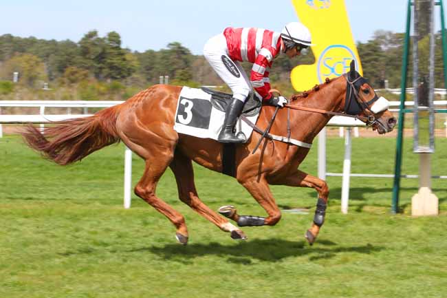 Photo d'arrivée de la course pmu PRIX DES GENETS à FONTAINEBLEAU le Mercredi 20 avril 2022