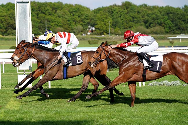 Photo d'arrivée de la course pmu PRIX DU RESTAURANT 