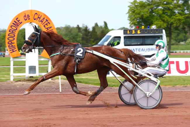 Photo d'arrivée de la course pmu PRIX NIMROD BOREALIS à CHATEAUBRIANT le Mercredi 27 avril 2022