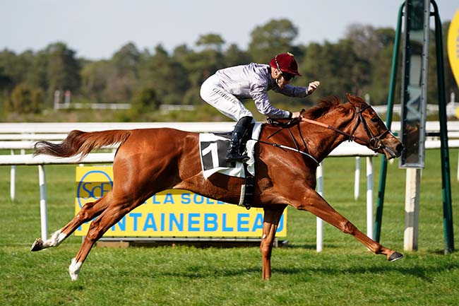 Photo d'arrivée de la course pmu PRIX DU LONG ROCHER à FONTAINEBLEAU le Mercredi 27 avril 2022