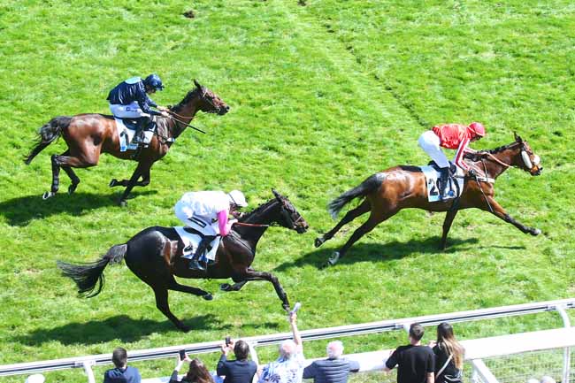 Photo d'arrivée de la course pmu GRANDE COURSE DE HAIES DE PRINTEMPS - PRIX LE PARISIEN à AUTEUIL le Samedi 30 avril 2022