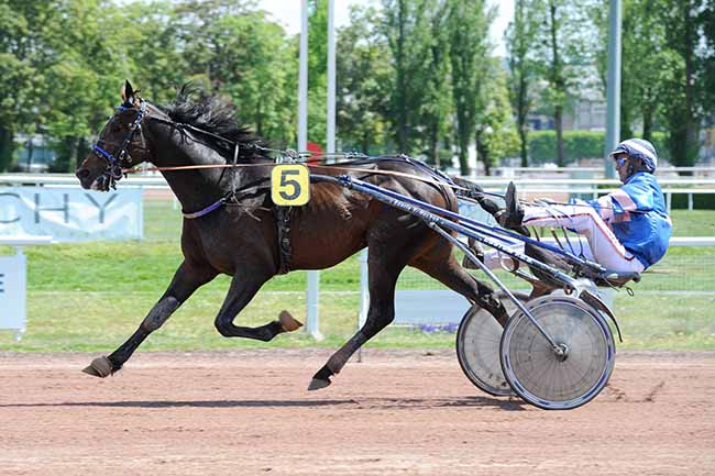 Photo d'arrivée de la course pmu PRIX DU PARC DES LAPINS à VICHY le Lundi 2 mai 2022