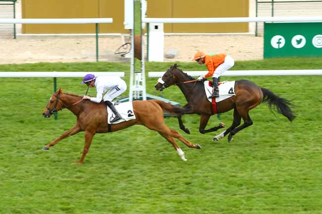 Photo d'arrivée de la course pmu PRIX DES QUAIS à LONGCHAMP le Mercredi 4 mai 2022
