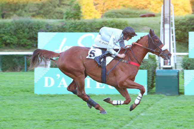Photo d'arrivée de la course pmu PRIX DE PENTHIEVRE à AUTEUIL le Samedi 7 mai 2022