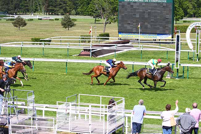 Photo d'arrivée de la course pmu PRIX DE SAINTE-PERINE à COMPIEGNE le Lundi 9 mai 2022