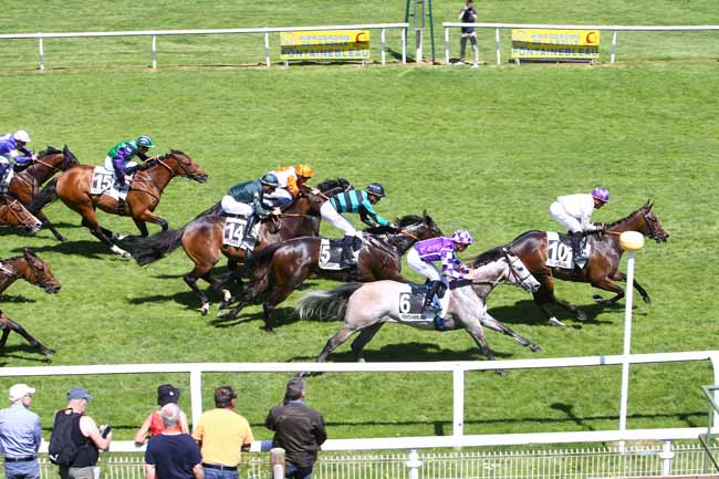 Photo d'arrivée de la course pmu PRIX DE LA FORET DE FONTAINEBLEAU à FONTAINEBLEAU le Mercredi 11 mai 2022