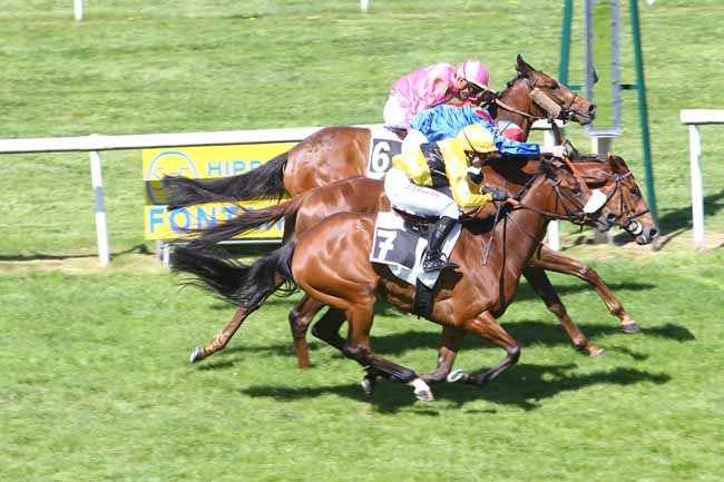 Photo d'arrivée de la course pmu PRIX DE SAMOREAU à FONTAINEBLEAU le Mercredi 11 mai 2022