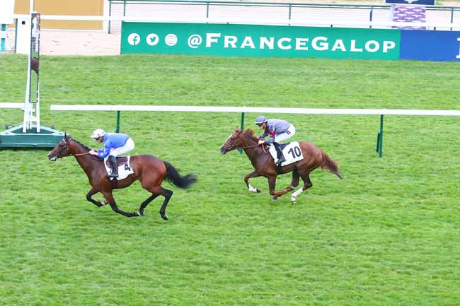 Photo d'arrivée de la course pmu PRIX DE SAINTE-GEMME à LONGCHAMP le Jeudi 12 mai 2022