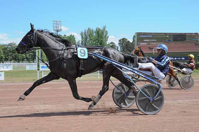 Photo d'arrivée de la course pmu PRIX DE MARCENAT à VICHY le Lundi 16 mai 2022