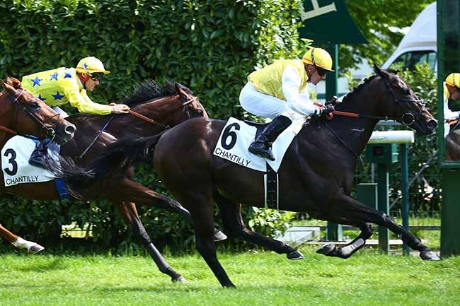 Photo d'arrivée de la course pmu PRIX TEXANITA à CHANTILLY le Lundi 16 mai 2022