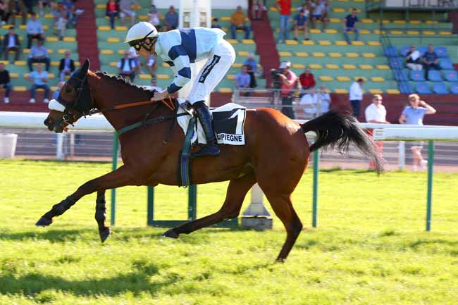 Photo d'arrivée de la course pmu PRIX NIVOLET à COMPIEGNE le Lundi 16 mai 2022