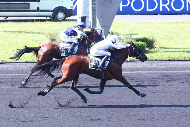 Photo d'arrivée de la course pmu PRIX NUWA à PARIS-VINCENNES le Mardi 17 mai 2022