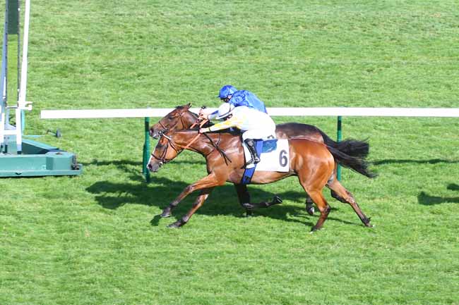 Photo d'arrivée de la course pmu PRIX D'ARGENTEUIL à LONGCHAMP le Jeudi 19 mai 2022