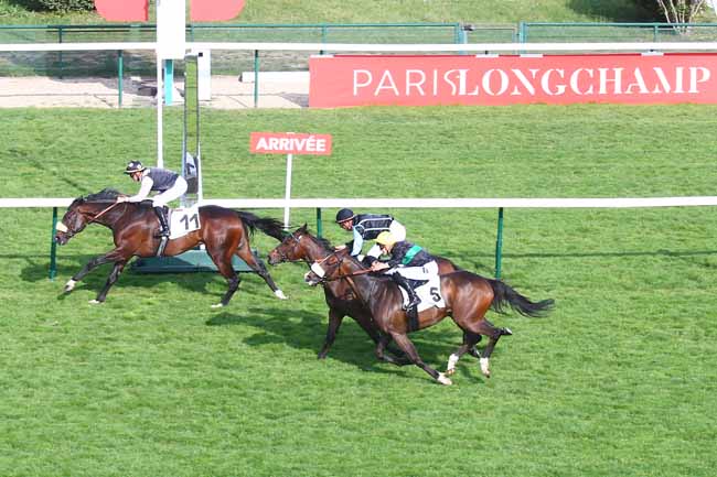 Photo d'arrivée de la course pmu PRIX DU CROULE-BARBE à LONGCHAMP le Jeudi 19 mai 2022