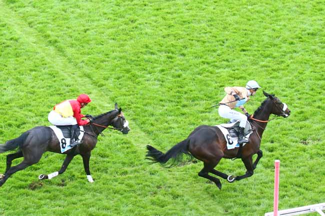 Photo d'arrivée de la course pmu PRIX LE PARISIEN - PRIX EX VOTO à AUTEUIL le Dimanche 22 mai 2022