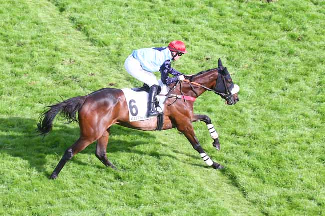 Photo d'arrivée de la course pmu PRIX ALAIN DU BREIL - COURSE DE HAIES DE PRINTEMPS DES QUATRE ANS à AUTEUIL le Dimanche 22 mai 2022
