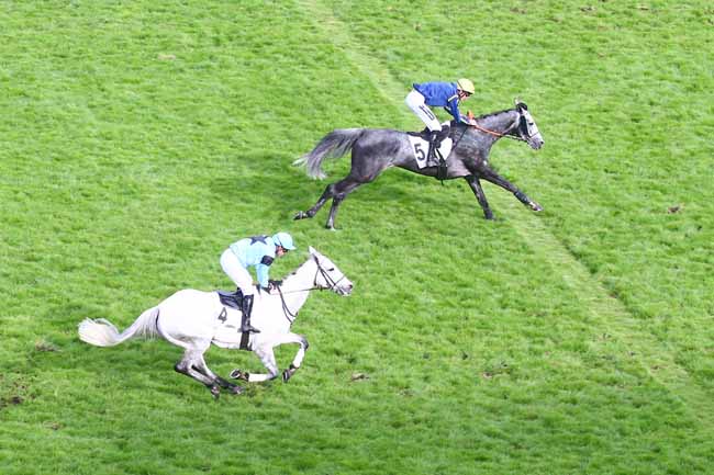 Photo d'arrivée de la course pmu PRIX TANERKO à AUTEUIL le Dimanche 22 mai 2022
