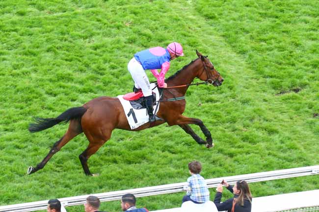 Photo d'arrivée de la course pmu PRIX JACKAL à AUTEUIL le Dimanche 22 mai 2022