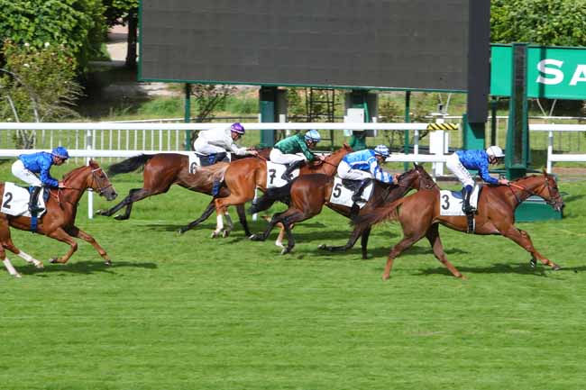 Photo d'arrivée de la course pmu PRIX PERRUCHE BLEUE à SAINT CLOUD le Mardi 24 mai 2022