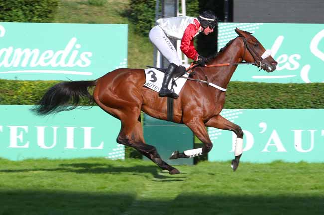 Photo d'arrivée de la course pmu PRIX ARISTOTE à AUTEUIL le Samedi 28 mai 2022
