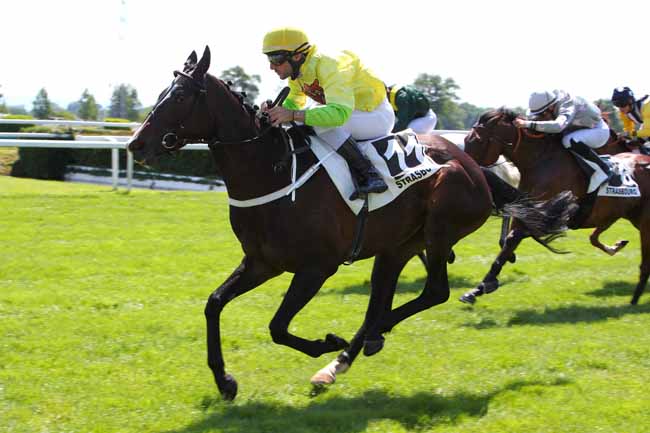 Photo d'arrivée de la course pmu PRIX ERIC VIAL INFLUENCEUR D'ALSACE (PRIX DE LA VALSE) à STRASBOURG le Lundi 30 mai 2022