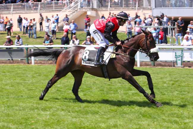 Photo d'arrivée de la course pmu PRIX KLEBER à STRASBOURG le Lundi 30 mai 2022