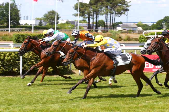 Photo d'arrivée de la course pmu HANDICAP D'ANGERS LOIRE METROPOLE à ANGERS le Mardi 31 mai 2022
