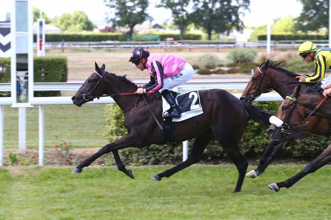 Photo d'arrivée de la course pmu PRIX DE PUYCHARIC à ANGERS le Mardi 31 mai 2022
