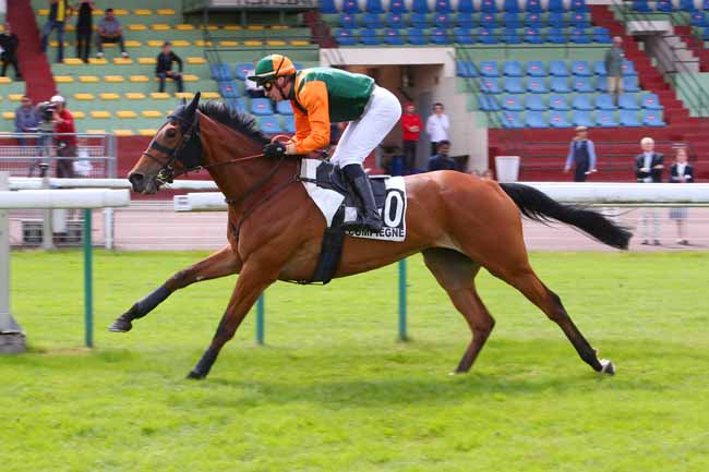 Photo d'arrivée de la course pmu PRIX MELINOIR à COMPIEGNE le Mardi 31 mai 2022