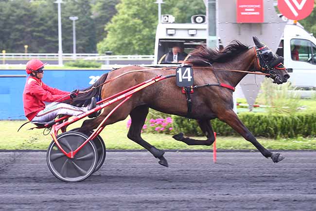 Photo d'arrivée de la course pmu PRIX EVA à PARIS-VINCENNES le Vendredi 1 juillet 2022